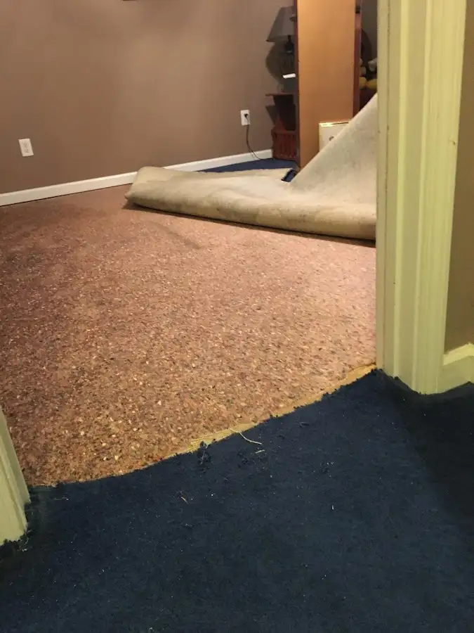 Carpet pad removal revealing water damage during Drying & Dehumidification in Dothan