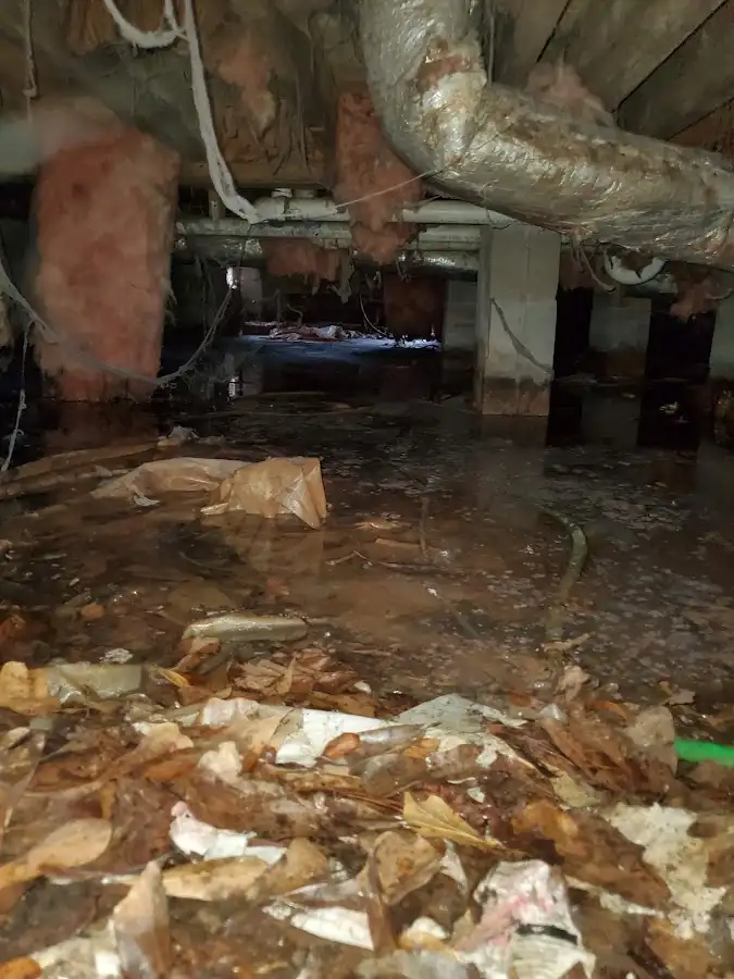 Crawl space flood assessment for Leak Detection & Repair in Dothan