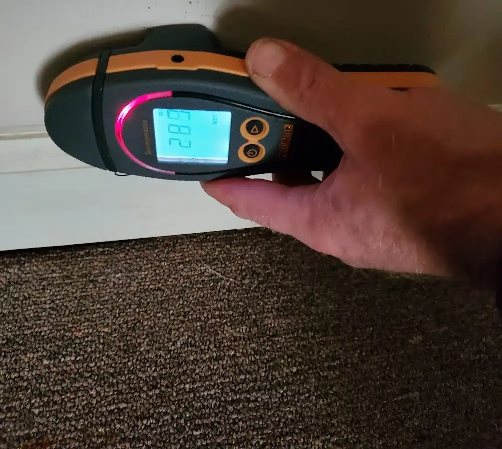 Moisture detection at baseboard during Mold Inspection & Testing in Dothan